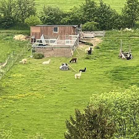 Gemuetliche 3-Zimmer-Wohnung Mit Panoramablick Und Kostenlosem Ueberdachten Parkplatz ヴィンターベルク エクステリア 写真